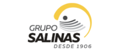 Logo de Grupo Salinas